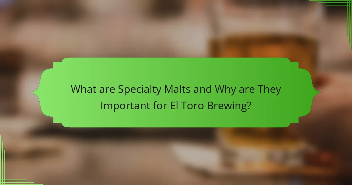 What are Specialty Malts and Why are They Important for El Toro Brewing?