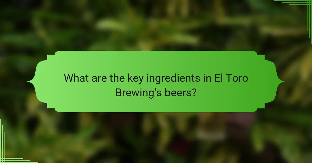 What are the key ingredients in El Toro Brewing's beers?