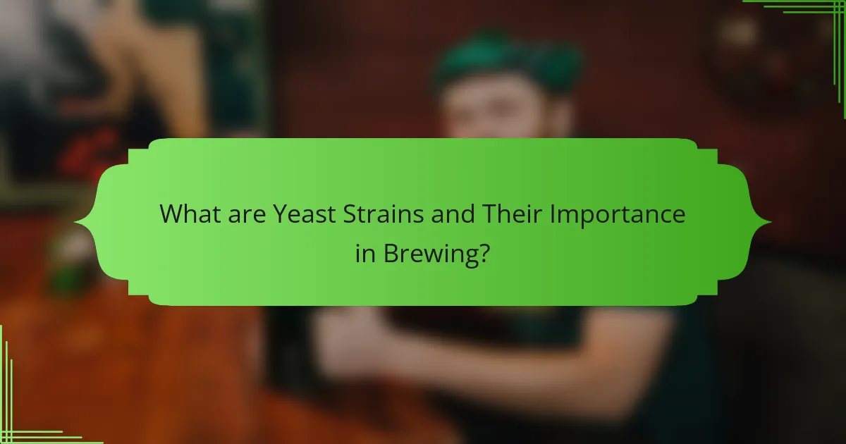 What are Yeast Strains and Their Importance in Brewing?
